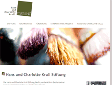 Tablet Screenshot of krull-stiftung.de